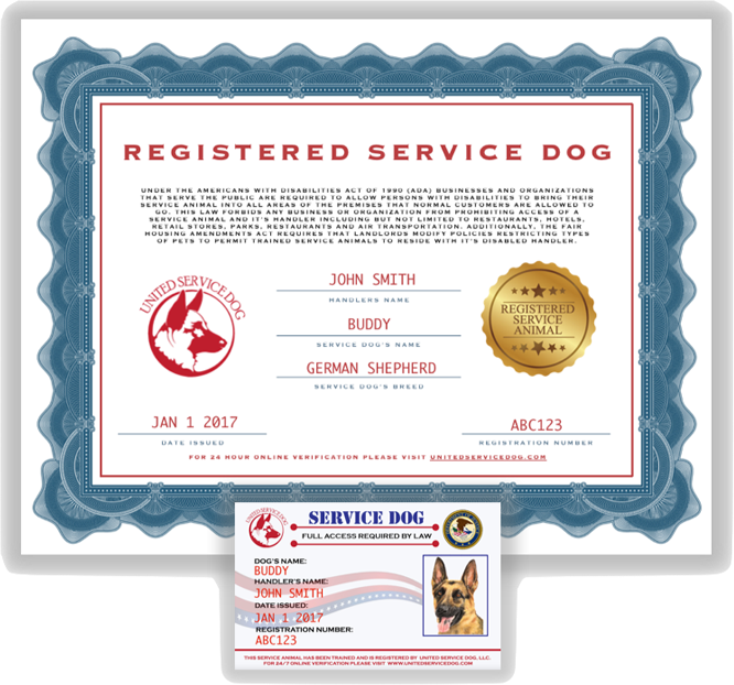 service dog registration papers