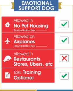 emotional support animal leash service dog and emotional support esa evaluation letter