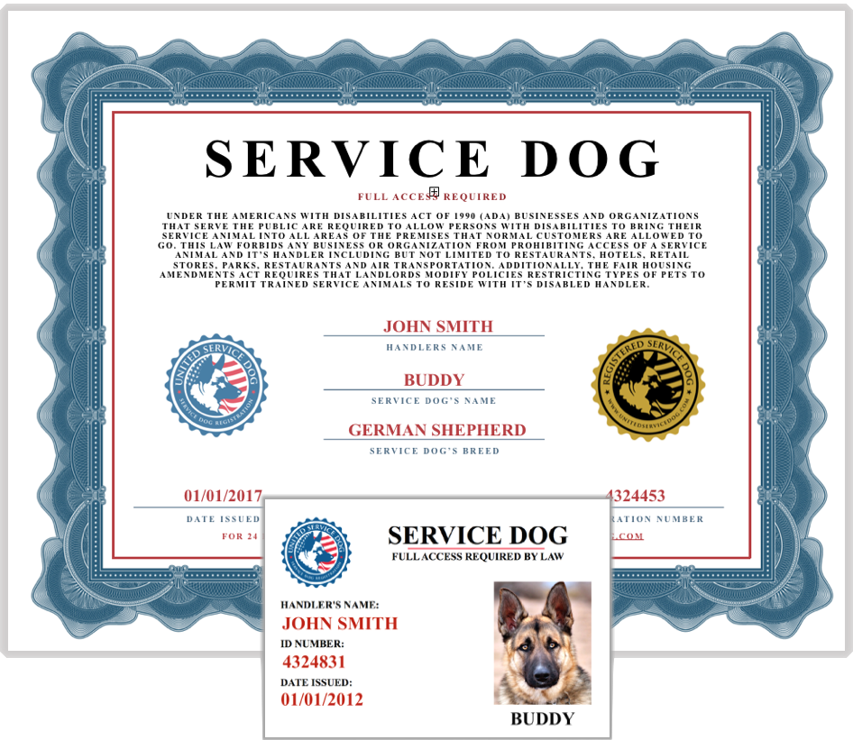 service_dog_icon