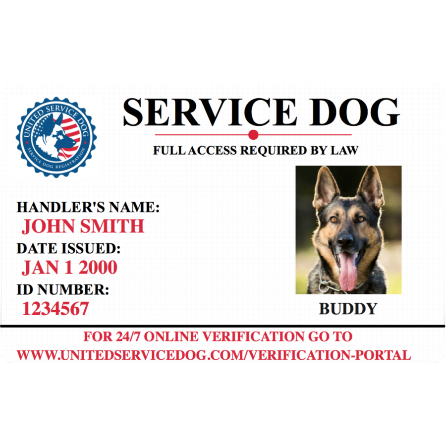 Printable Pet Id Card Template