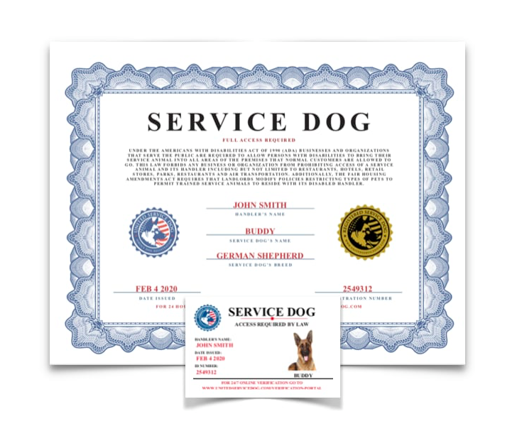 research paper on service dogs