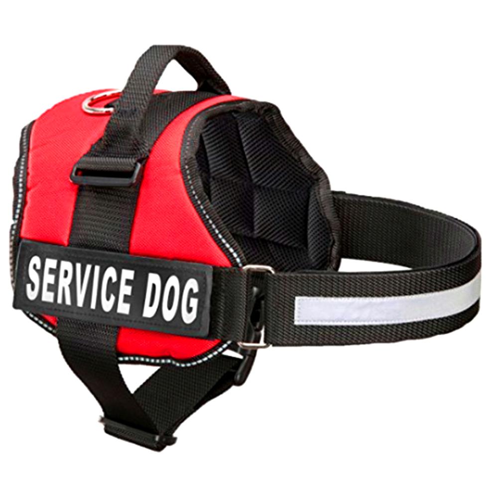 Service Dog Vest | Service Dog and Emotional Support Animal Registration