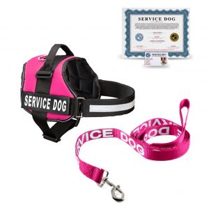 Service Dog Certificate | Service Dog Registration ...