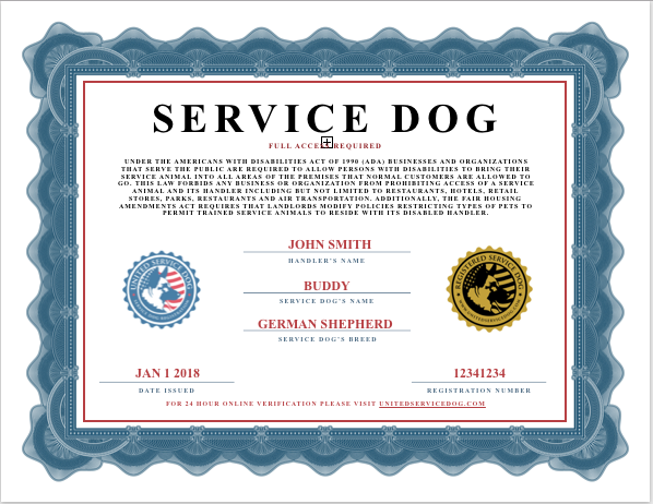 Thesis statement on service dogs