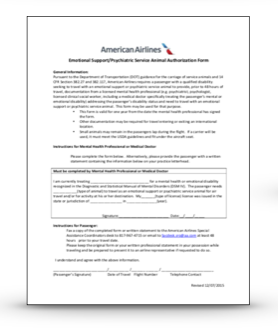 American Airlines Privacy Travel Consent Form American Airlines Privacy Travel Consent Form
