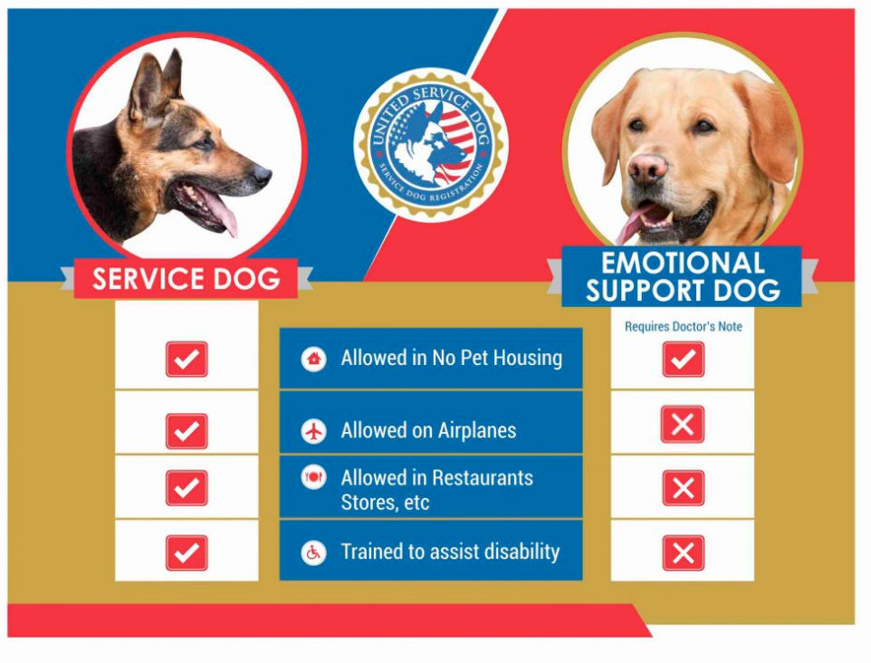 emotional_service_dog