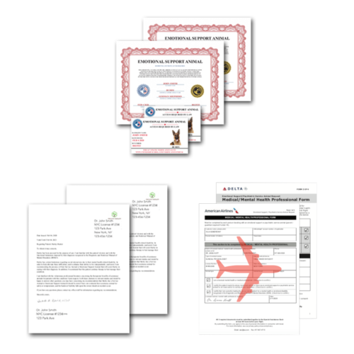 southwest airlines pet weight limit southwest airlines pet weight limit